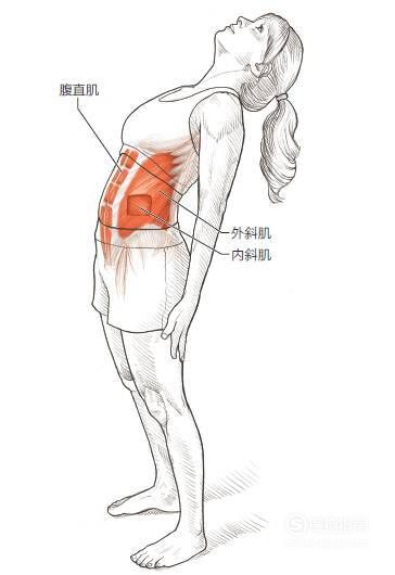 澳门沙金网址14种运动后各部位拉伸图解一篇全搞定！(图3)