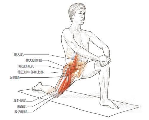 澳门沙金网址14种运动后各部位拉伸图解一篇全搞定！(图5)