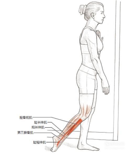 澳门沙金网址14种运动后各部位拉伸图解一篇全搞定！(图6)